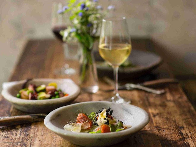 Ernährung – Teller mit ausgewogener Mahlzeit