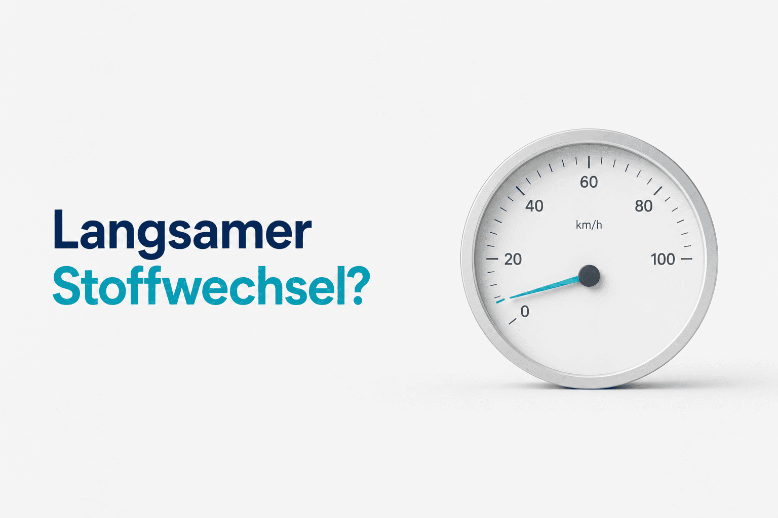 Langsamer Stoffwechsel und Abnehmen trotz Disziplin