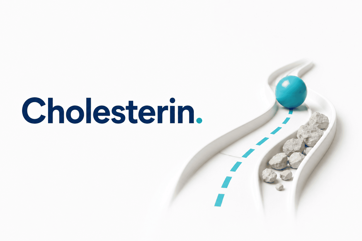 Cholesterin und Fettstoffwechsel verständlich erklärt