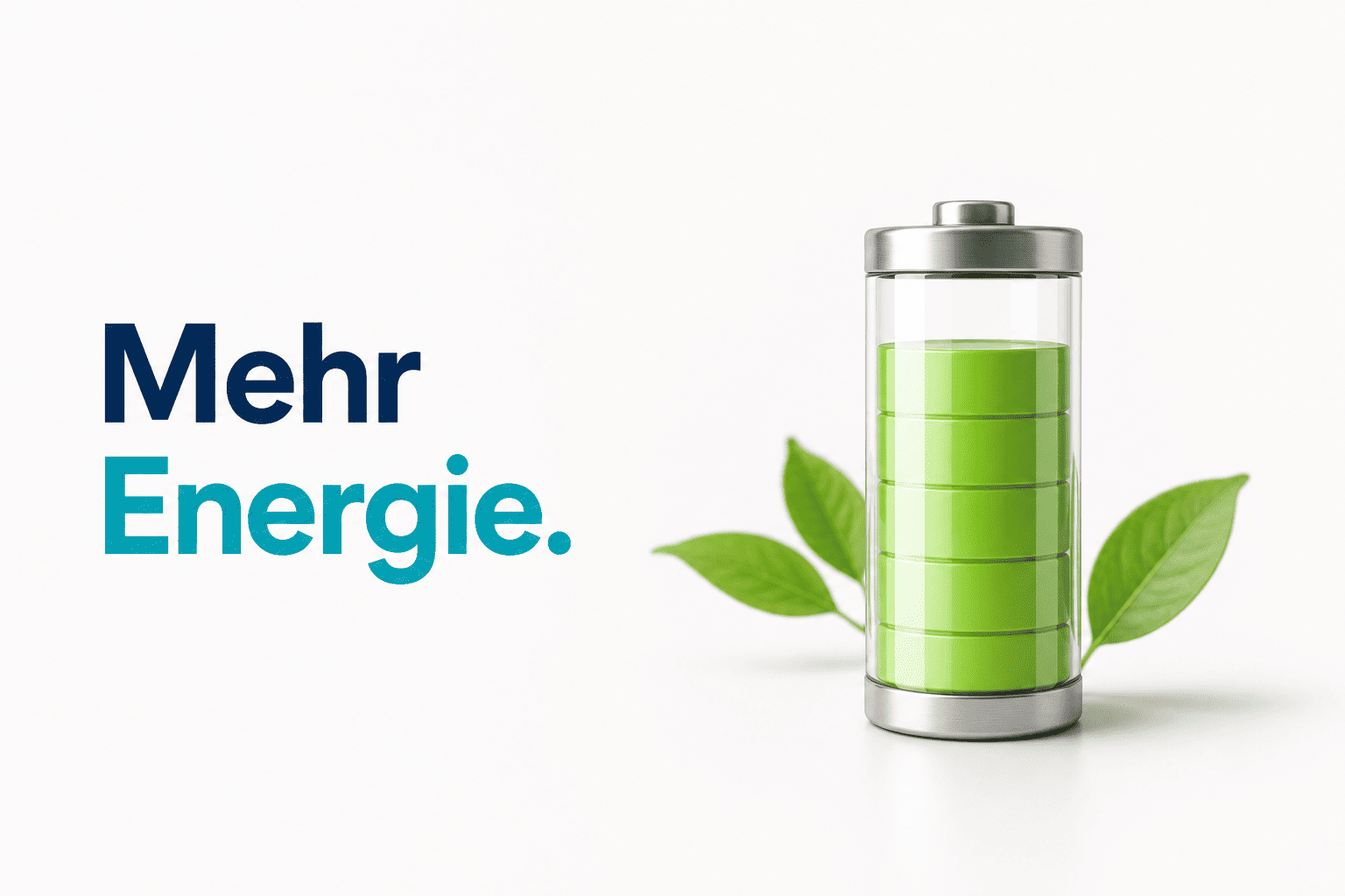 Energie und Stoffwechsel verstehen