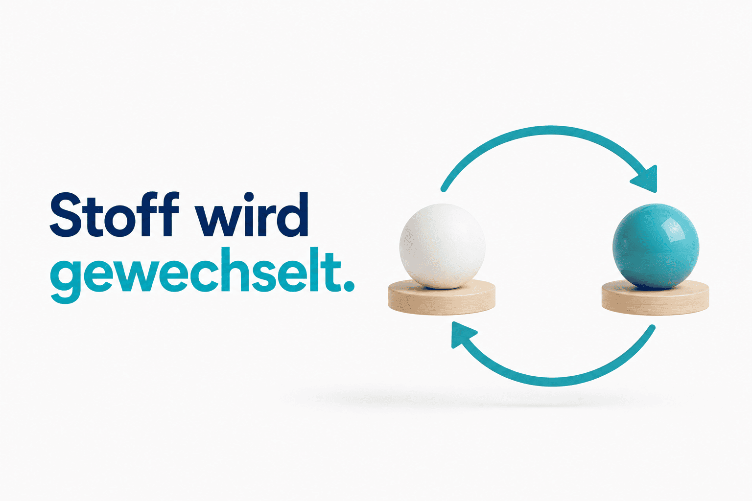 Stoffwechsel und Blutwerte verständlich erklärt