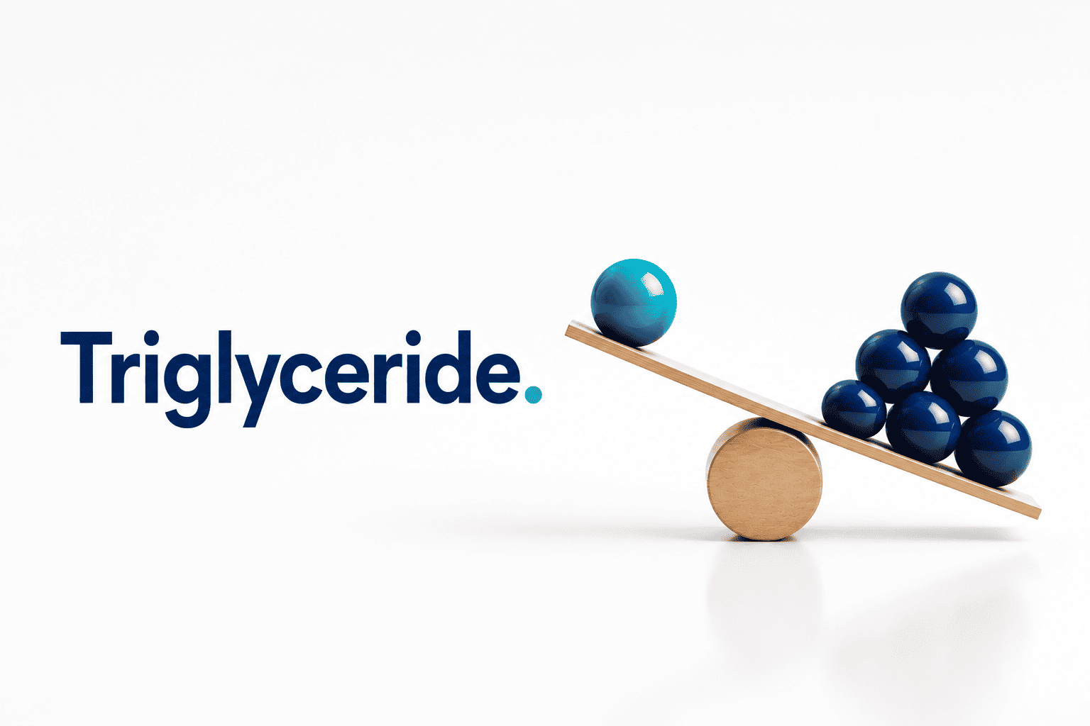 Triglyceride, Blutfette und Energiespeicherung verständlich erklärt